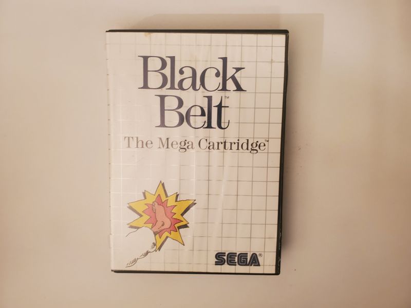 Sega Master System Black Belt video game