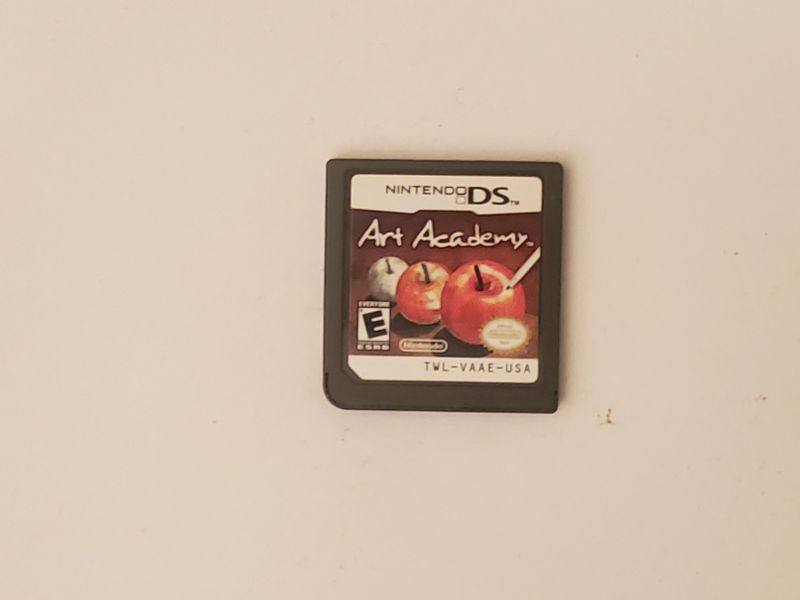 Nintendo DS Art Academy video game
