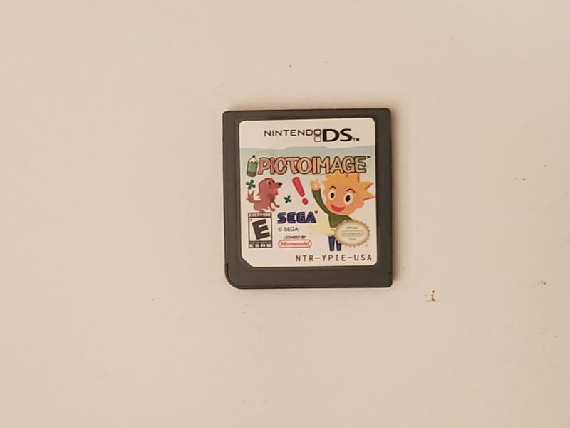 Nintendo DS PictoImage video game