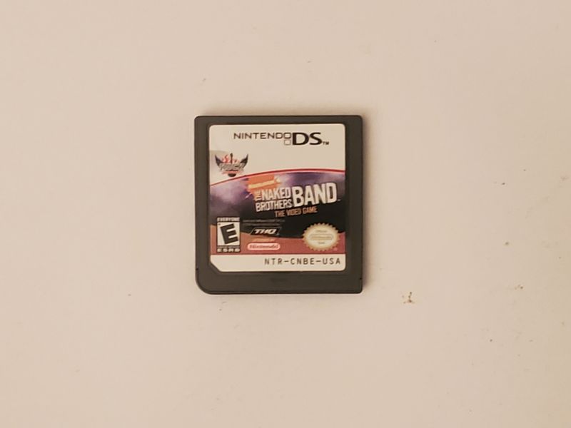 Nintendo DS The Naked Brothers Band The Video Game video game