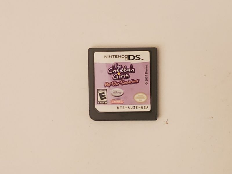 Nintendo DS The Cheetah Girls: Pop Star Sensations video game