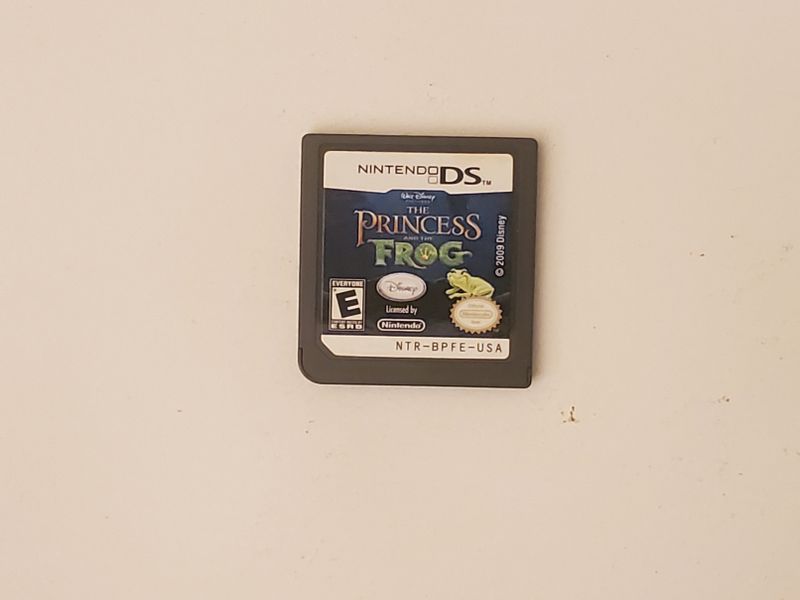 Nintendo DS The Princess and the Frog video game