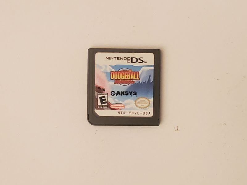 Nintendo DS Super Dodgeball Brawlers video game