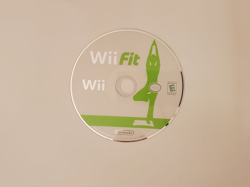 Nintendo Wii Wii Fit video game