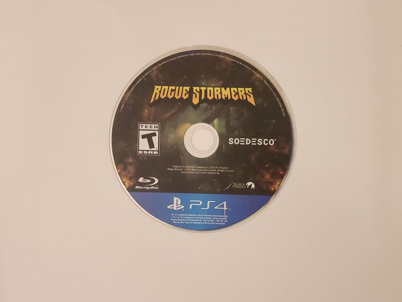 Sony Playstation 4 Rogue Stormers video game