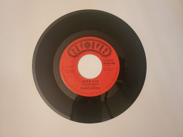 Dianne Brooks Show Him (He's Not Alone) / Show Me vinyl record