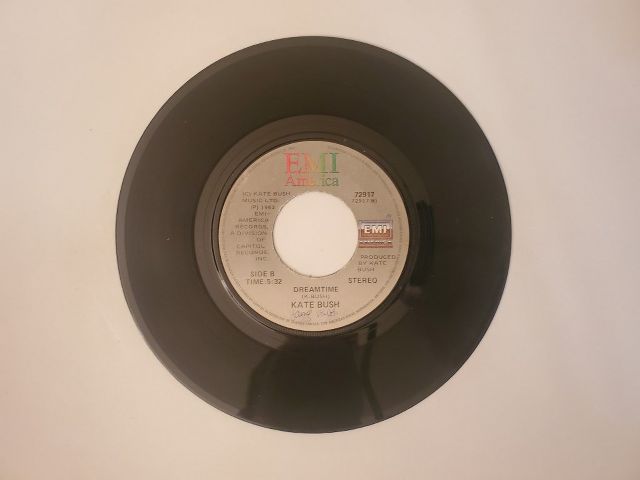 Kate Bush Dreamtime / Ne T'enfuis Pas vinyl record