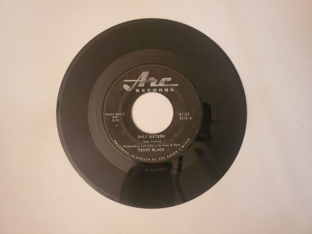 Terry Black Only Sixteen / How Many Guys vinyl record