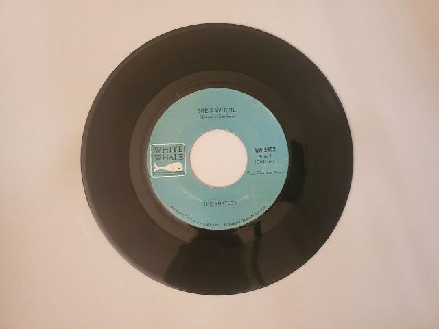 The Turtles She's My Girl / Chicken Little Was Right vinyl record
