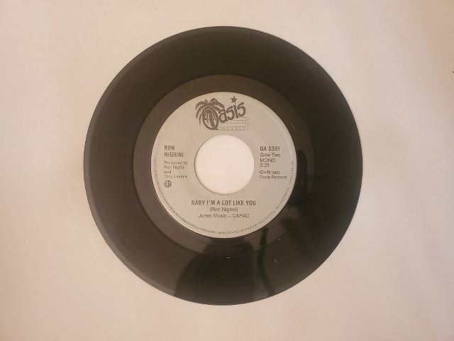 Ron Nigrini Baby I'm A Lot Like You / Baby I'm a Lot Like You vinyl record