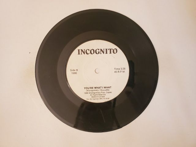 Incognito You're What I Want / Make It to the Other Side vinyl record