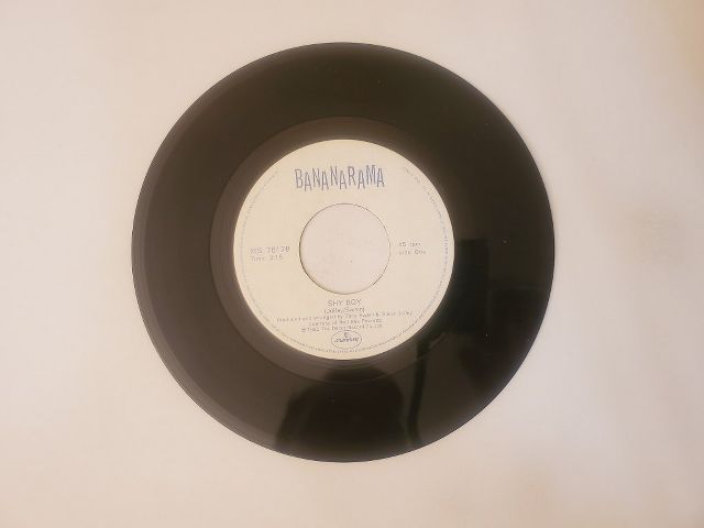 Bananarama Shy Boy / Give Us Back Our Cheap Fares vinyl record