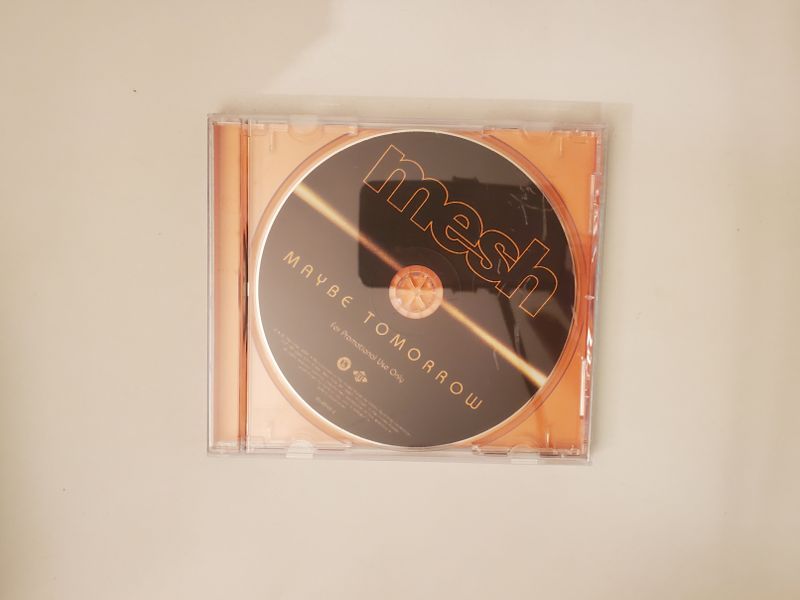 CD Mesh - Maybe Tomorrow video game