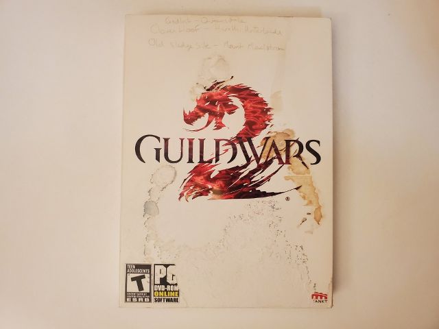 PC Guild Wars 2 video game