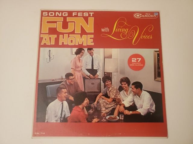 Living Voices Fun at Home vinyl record