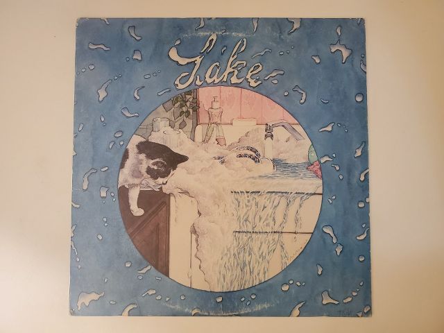Lake Lake vinyl record