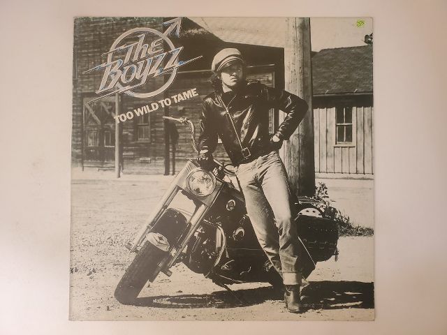 The Boyzz Too Wild to Tame vinyl record