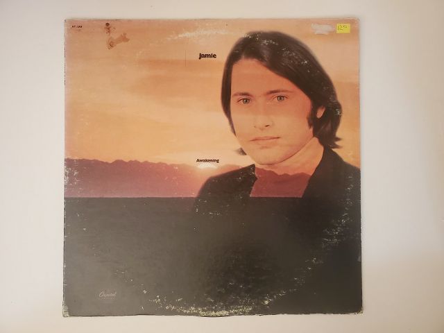 Jamie Awakening vinyl record