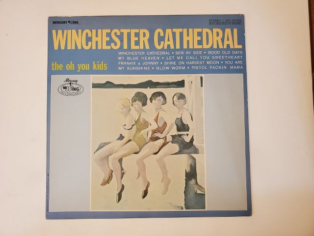 The Oh You Kids Winchester Cathedral vinyl record