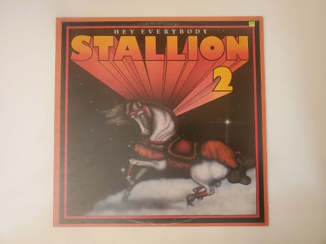 Stallion Hey Everybody vinyl record