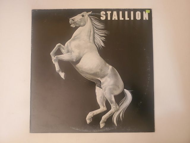 Stallion Stallion vinyl record