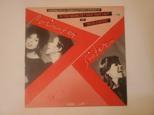 Pointer Sisters If You Wanna Get Back Your Lady b/w I'm So Excited vinyl record