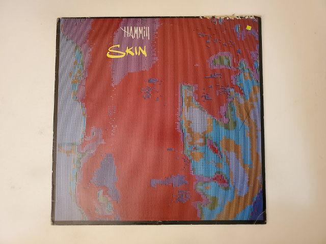 Peter Hammill Skin vinyl record