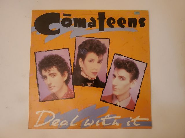 Comateens Deal with It vinyl record