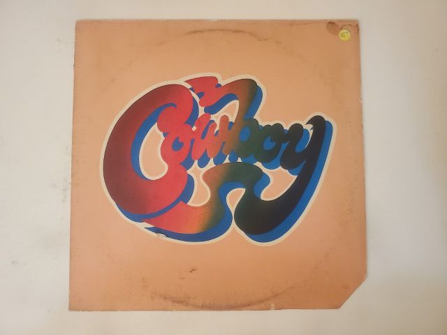 Cowboy Reach for the Sky vinyl record
