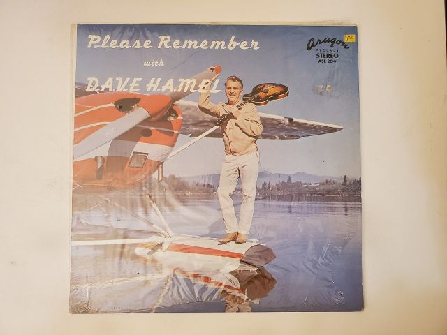 Dave Hamel Please Remember vinyl record
