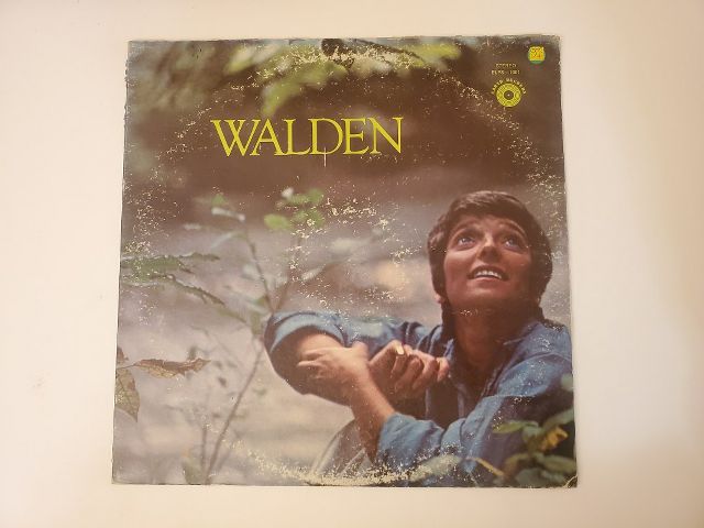Debbie Drake Walden vinyl record