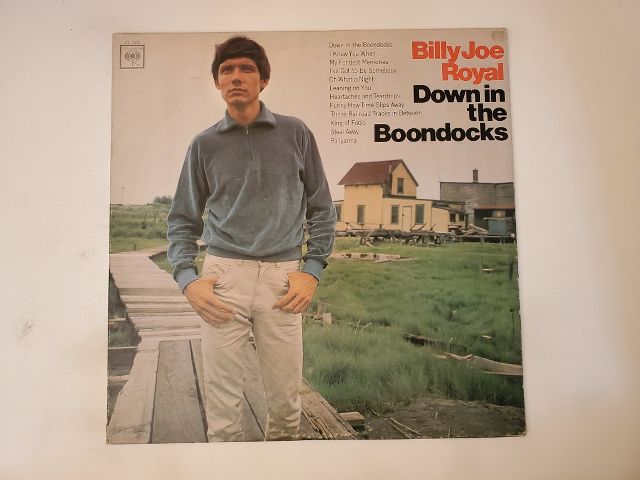 Billy Joe Royal Down in the Boondocks vinyl record