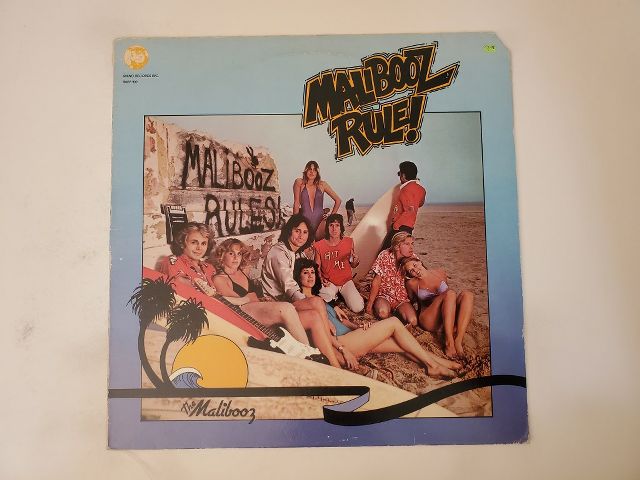 The Malibooz Malibooz Rule! vinyl record