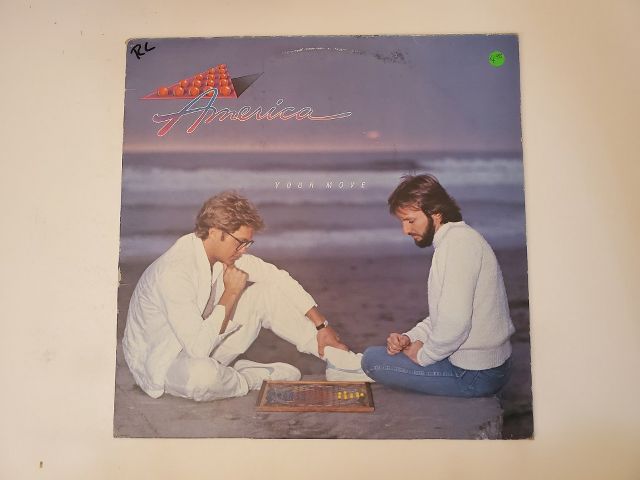 America Your Move vinyl record