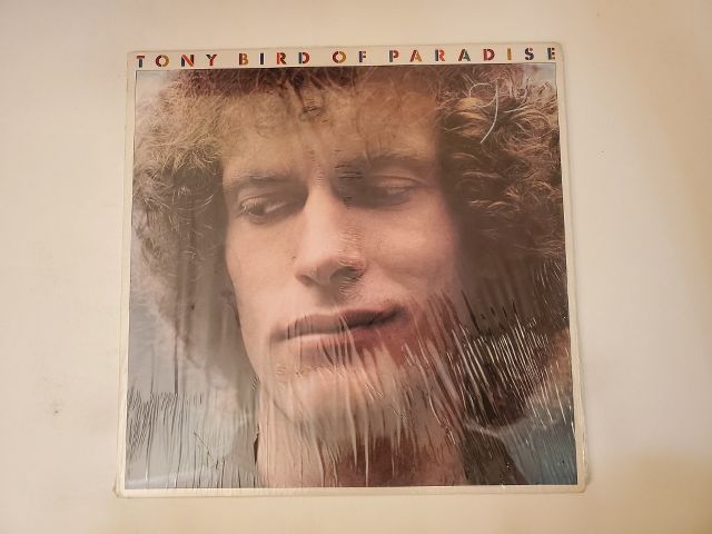 Tony Bird Bird of Paradise vinyl record