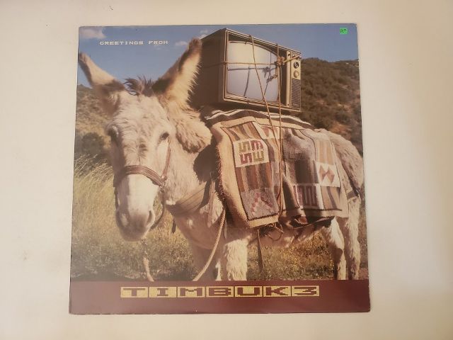 Timbuk3 Greetings from Timbuk3 vinyl record