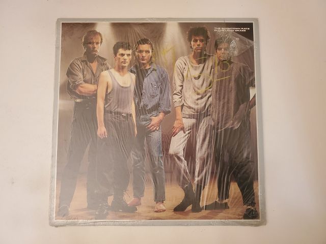 The Boomtown Rats In the Long Grass vinyl record