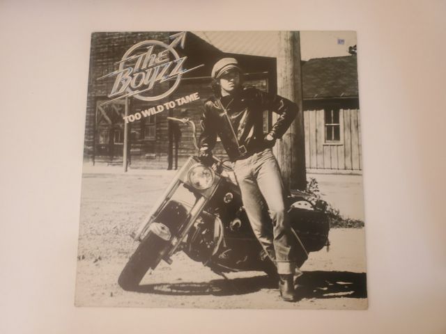The Boyzz Too Wild to Tame vinyl record