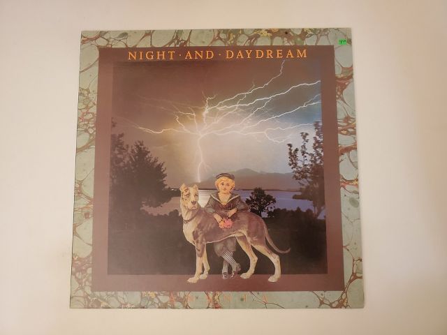 Amnesia Night and Daydream vinyl record