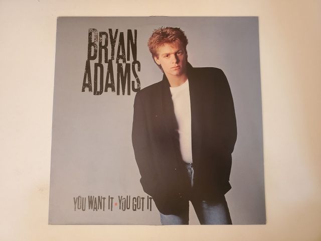 Bryan Adams You Want It You Got It vinyl record