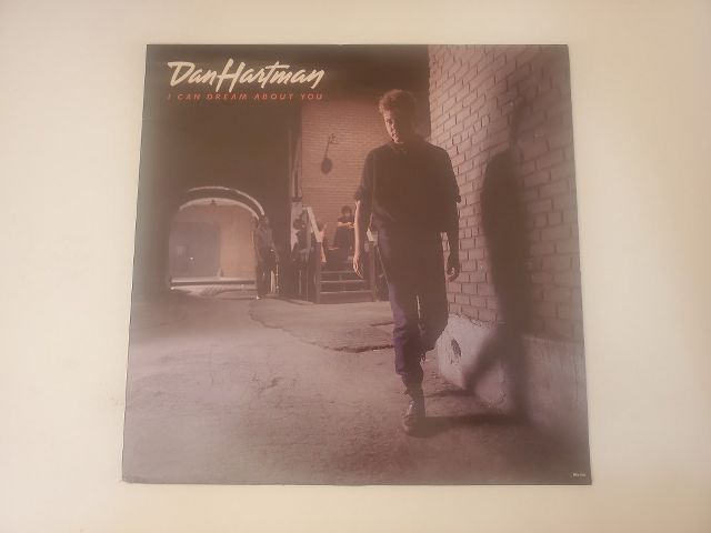 Dan Hartman I Can Dream About You vinyl record