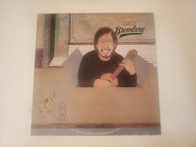 David Bromberg The Best of David Bromberg vinyl record