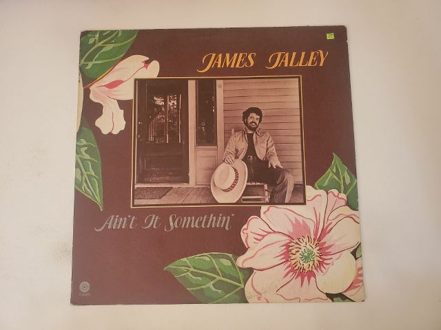 James Talley Ain't It Somethin' vinyl record