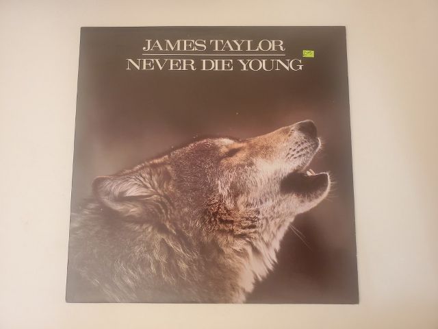 James Taylor Never Die Young vinyl record