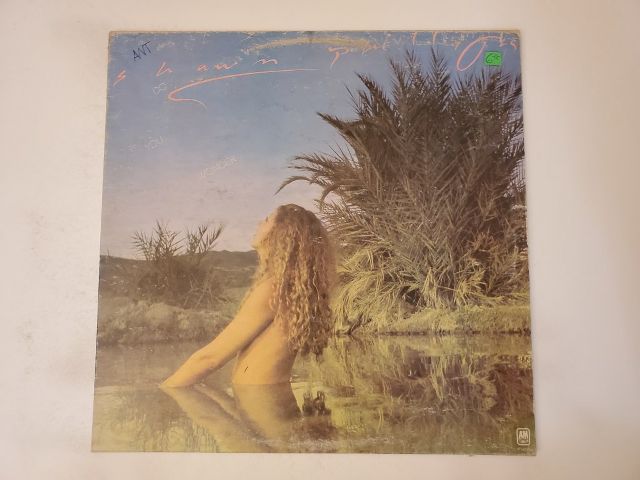 Shawn Phillips Do You Wonder vinyl record