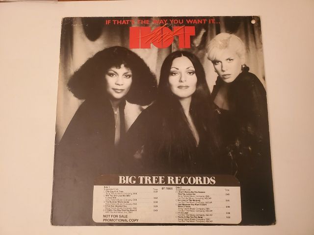 Hot If That's the Way You Want It vinyl record
