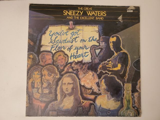 Sneezy Waters and the Excellent Band You've Got Sawdust on the Floor of Your Heart vinyl record