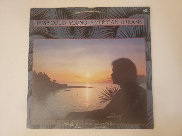 Jesse Colin Young American Dreams vinyl record