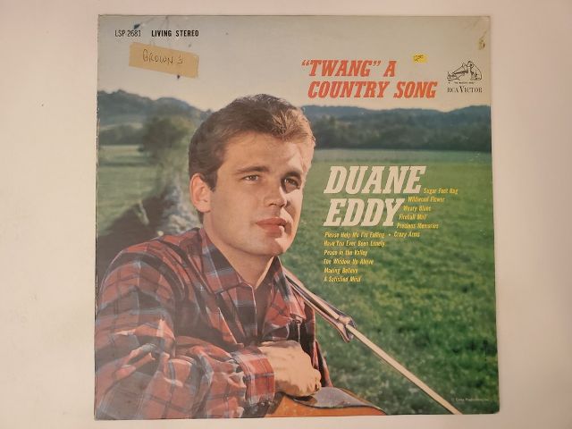Duane Eddy Twang A Country Song vinyl record