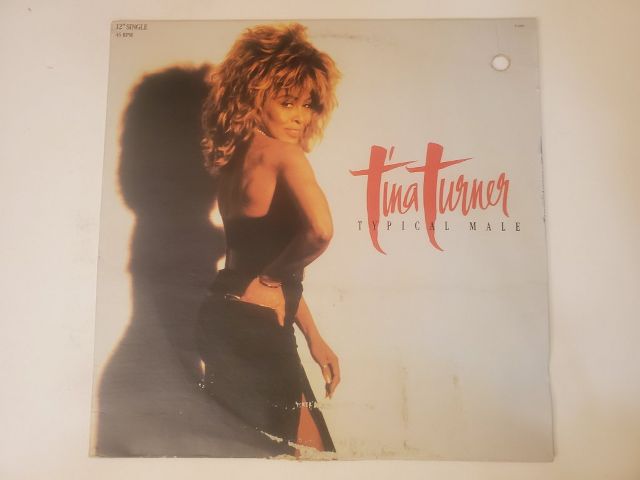Tina Turner Typical Male vinyl record